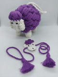 Kids Sheep_Rakhi+Toy